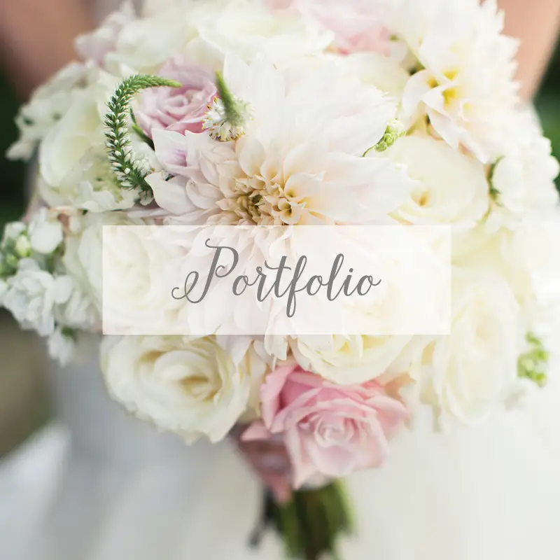 Bellissima Photography Galleries